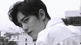 肖战事件娱乐圈吃瓜